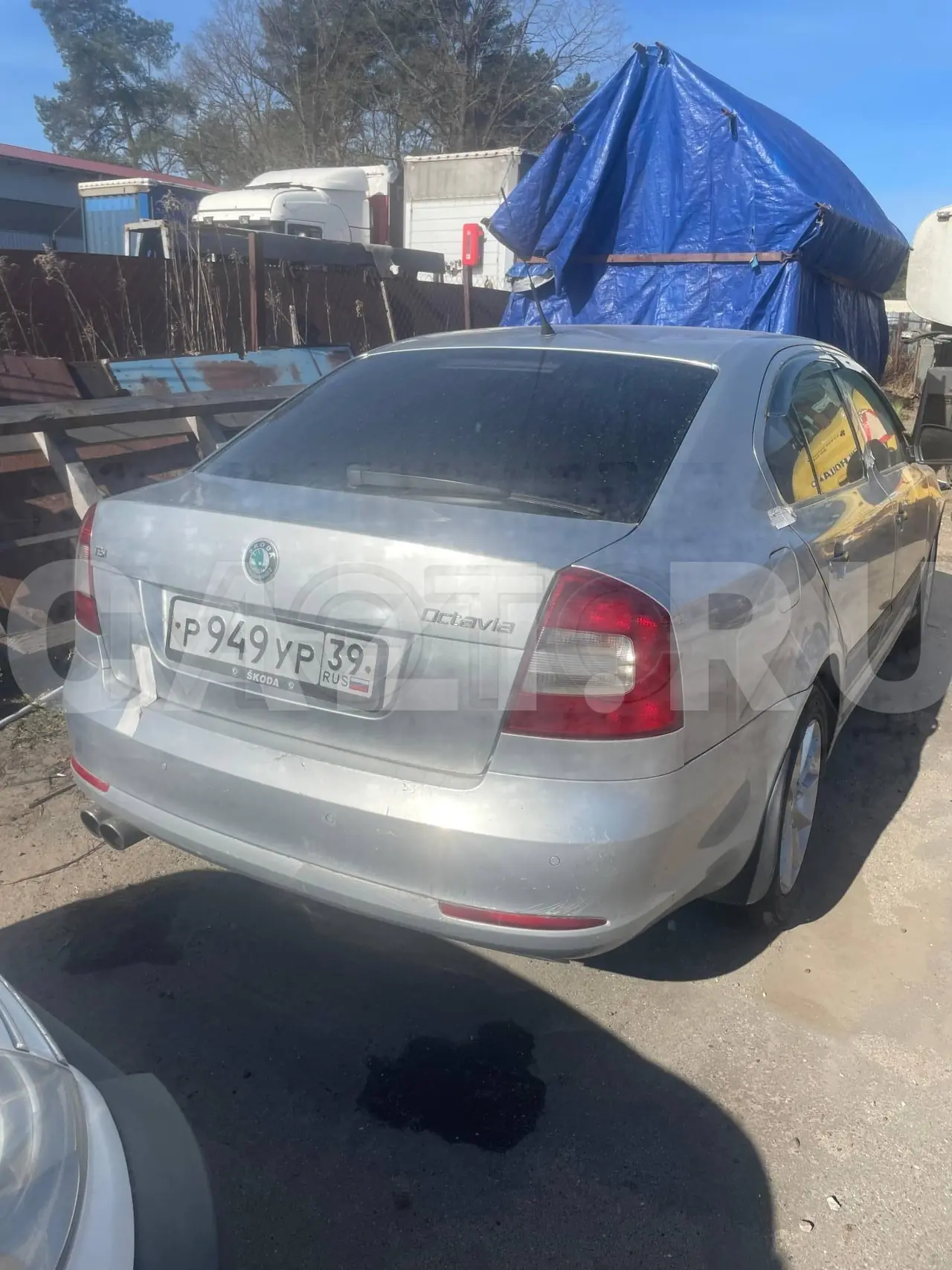 Автомобиль Skoda Octavia, 2009 год — фото 4
