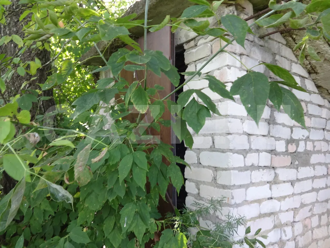 Здание лаборатории 143 м² + Гараж 119 м² + Административное здание 117 м² — фото 8